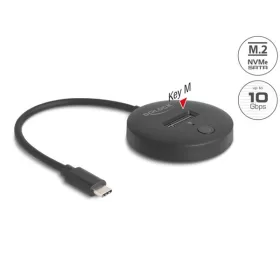   Delock 64254 M.2 dokkoló állomás - M.2 NVMe SATA SSD-hez USB Type-C apa