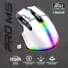 Spirit of Gamer Egér vezeték nélküli - PRO-M5 Arctic Wireless (Optikai, 8000DPI, 8 gomb, fehér)